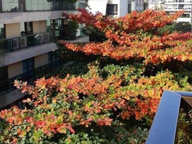 Venda em Leblon - Rio de Janeiro